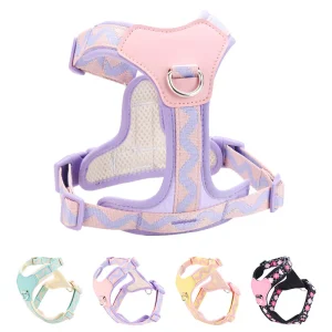 Geometric Design Adjustable Dog Harness/Leash