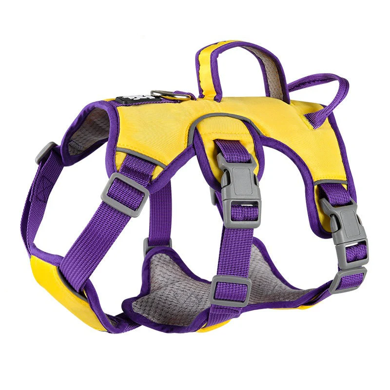 Contrast Color No Pull Dog Harness/Leash For Medium Dog - immagine 4
