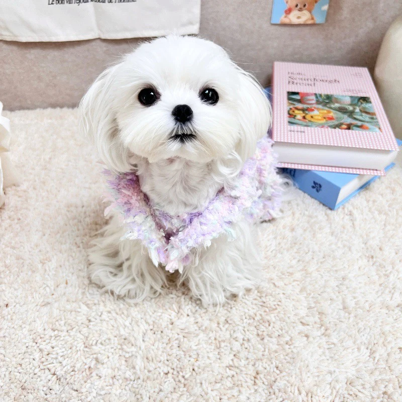 Sweet Butterfly Decor Dog Cat Layered Dress - immagine 9