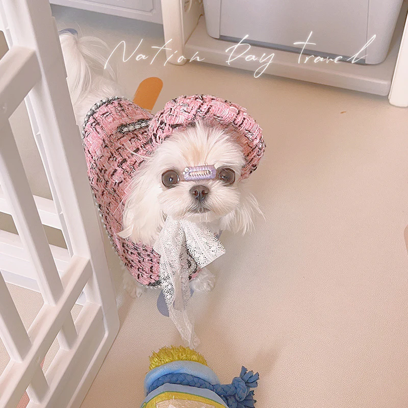 Sweet Pearl Princess Dog Cape with Hat - immagine 5
