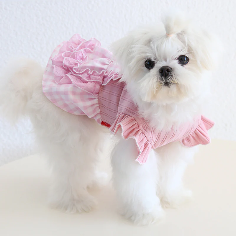Sweet Flower Plaid Lace Dog Cat Dress - immagine 5