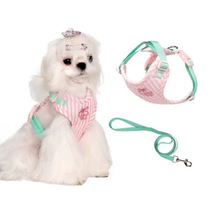 Cherry Striped Color Block Harness