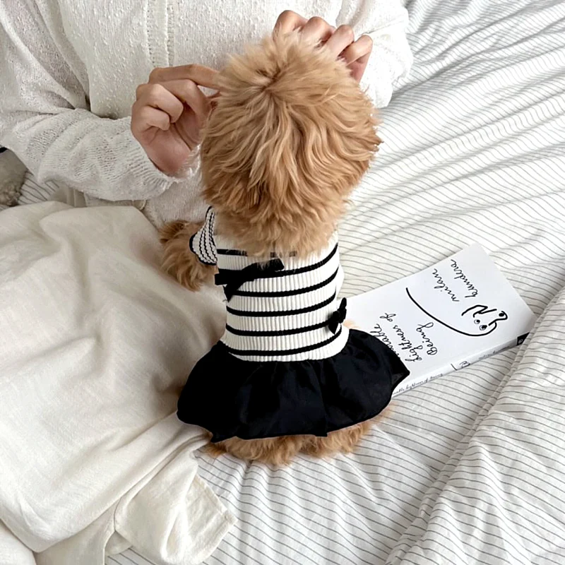 Black White Striped Bow Dog Cat Tee/Dress - immagine 3