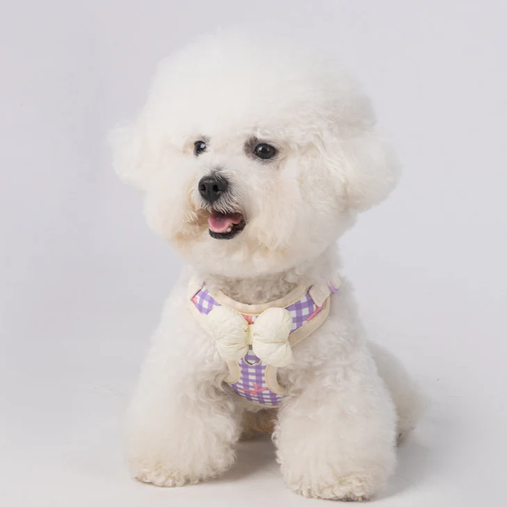 Bow Decor Plaid Color Block Dog Harness Leash - immagine 9