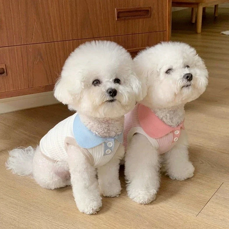 Breathable Contrast Color Collar Dog Cat Vest - immagine 5