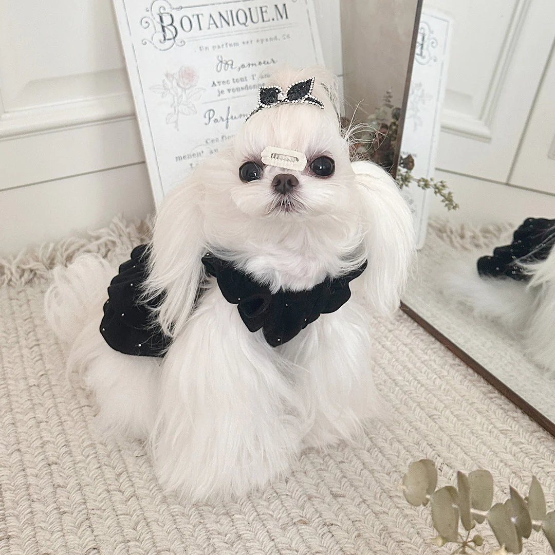 Sweet Butterfly Rhinestone Dog Cat Dress - immagine 6