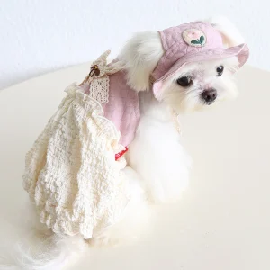 Flower Decor Lace Color Block Dog Cat Princess Dress Hat