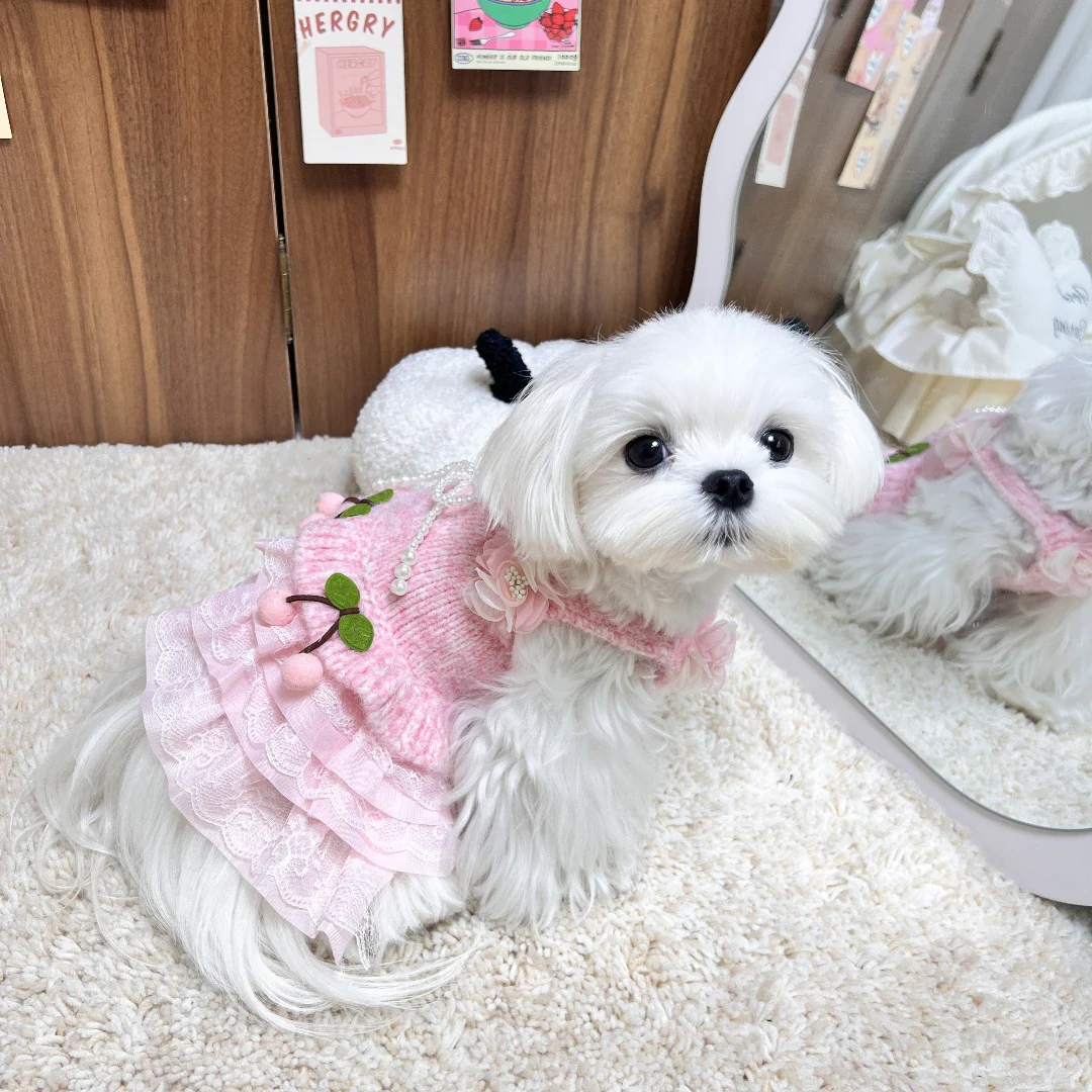 Sweet Cherry Flower Knitted Dog Cat Dress - immagine 7