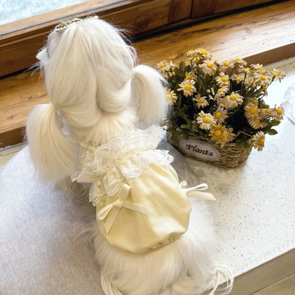 Sweet Lace Layered Collar Dog Vest/Jumpsuits - immagine 3