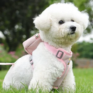 Printed Bag Breathable Dog Harness&Leash