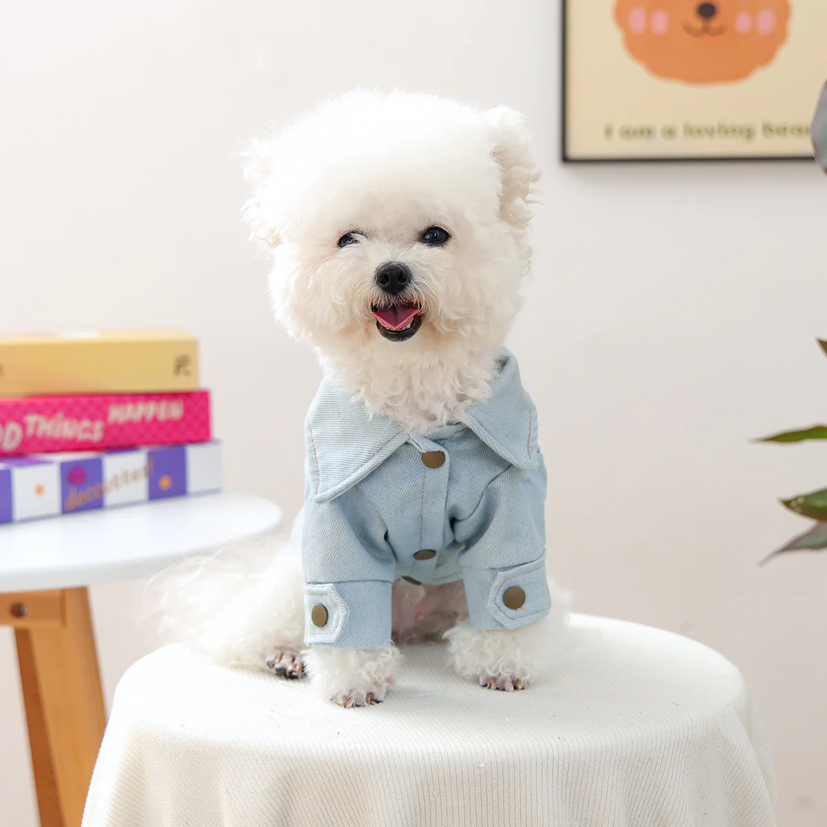Sweet Lace-up Bow Heart Decor Dog Cat Jacket Dress - immagine 8