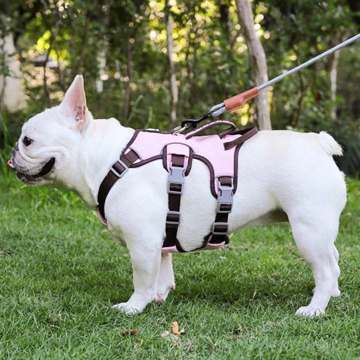 Contrast Color No Pull Dog Harness/Leash For Medium Dog - immagine 6