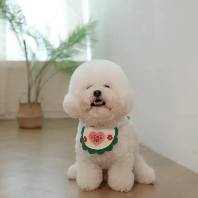 Sweet Heart Love Dog Cat Bibs - immagine 3