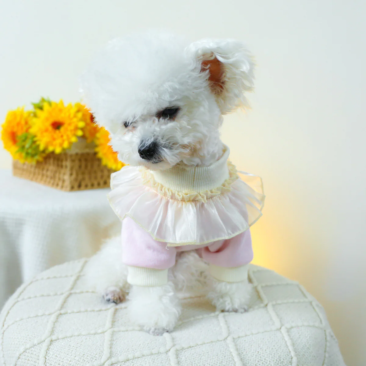 Cupcake Lace Collar Dog Cat Sweatshirt - immagine 8