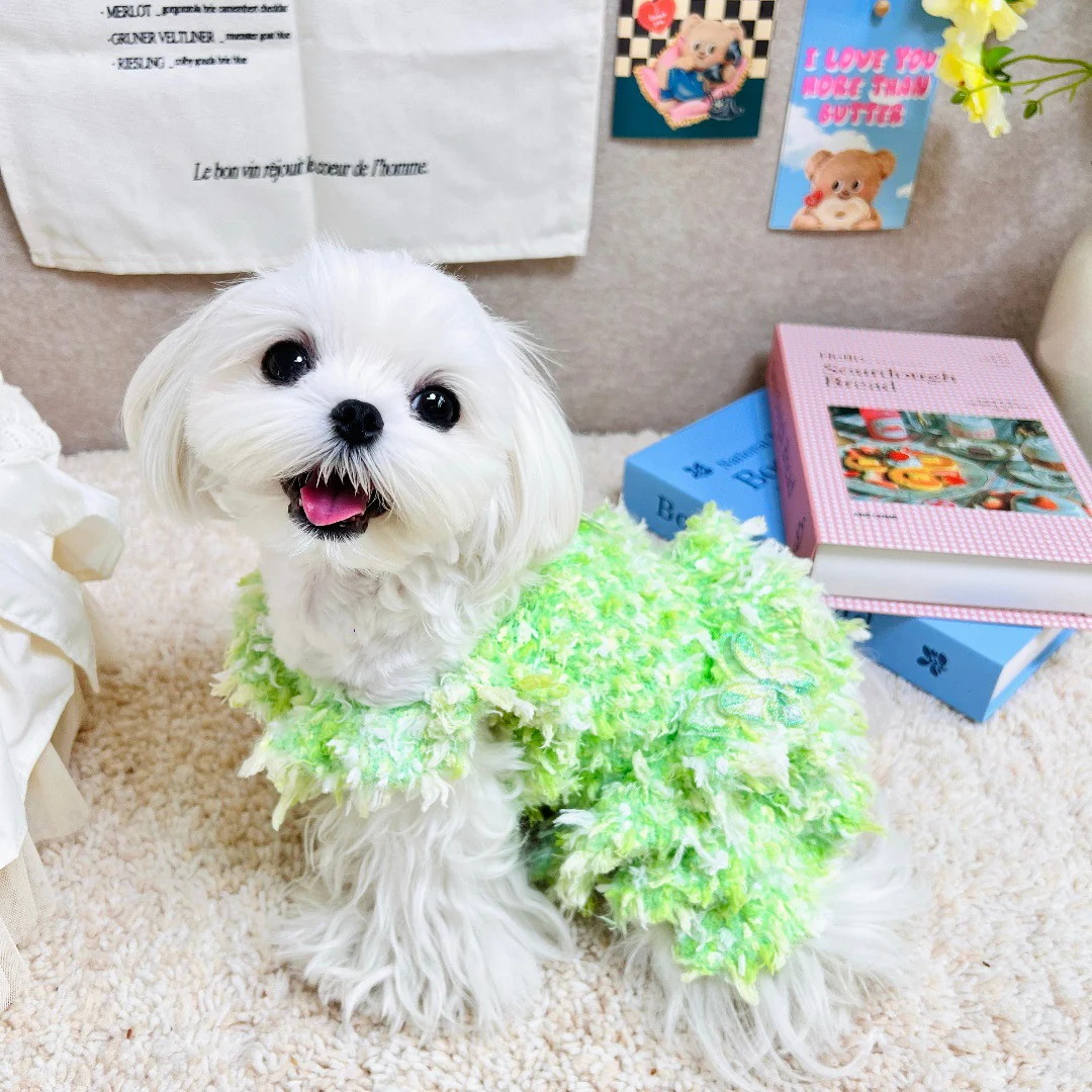 Sweet Butterfly Decor Dog Cat Layered Dress - immagine 4