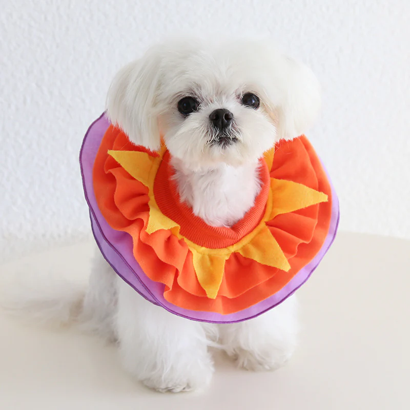 Funny Food Pattern Dog Cat Scarf/Bib Hat - immagine 6