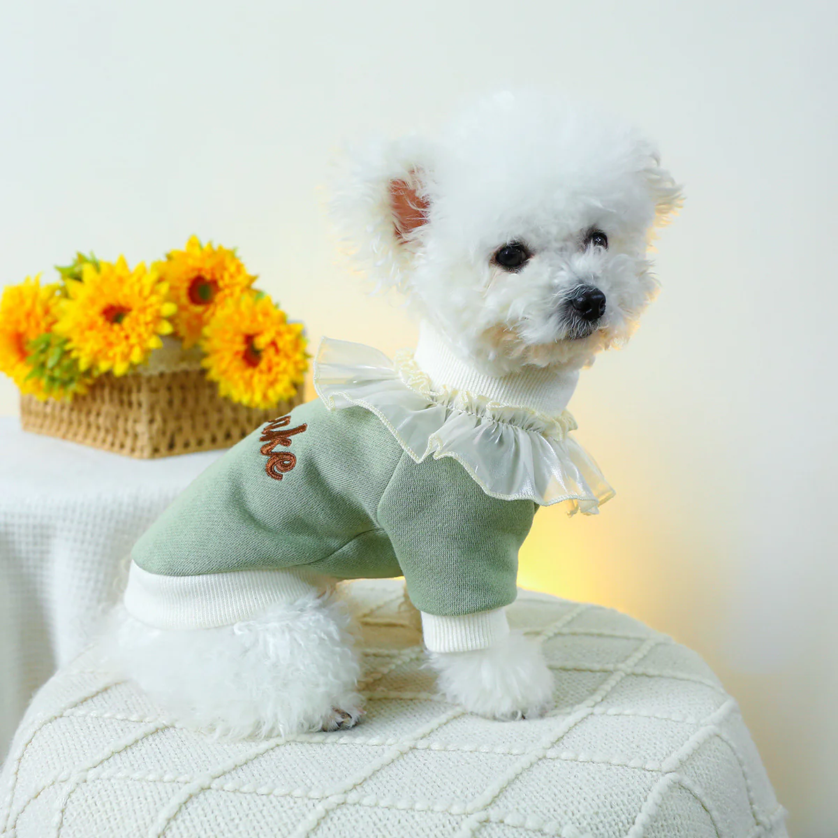 Cupcake Lace Collar Dog Cat Sweatshirt - immagine 9