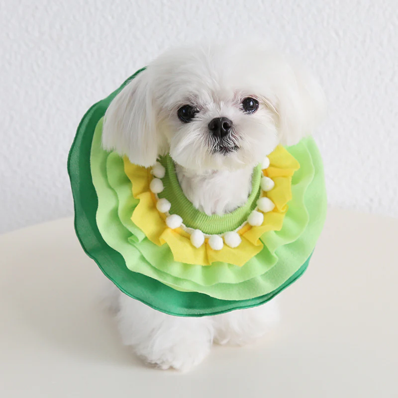 Funny Food Pattern Dog Cat Scarf/Bib Hat - immagine 5