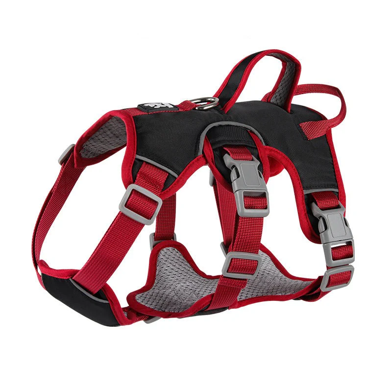 Contrast Color No Pull Dog Harness/Leash For Medium Dog - immagine 3