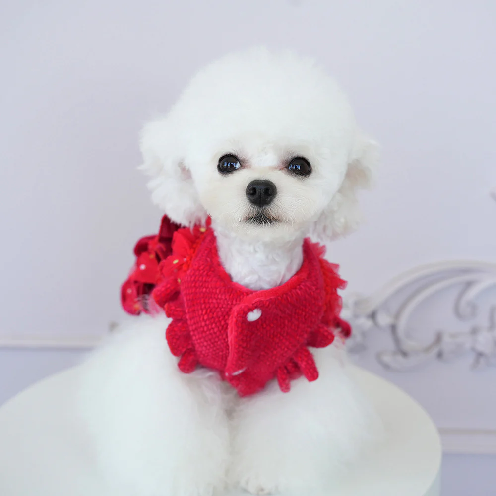 Tulle Star Layered Dog Cat Princess Dress - immagine 8