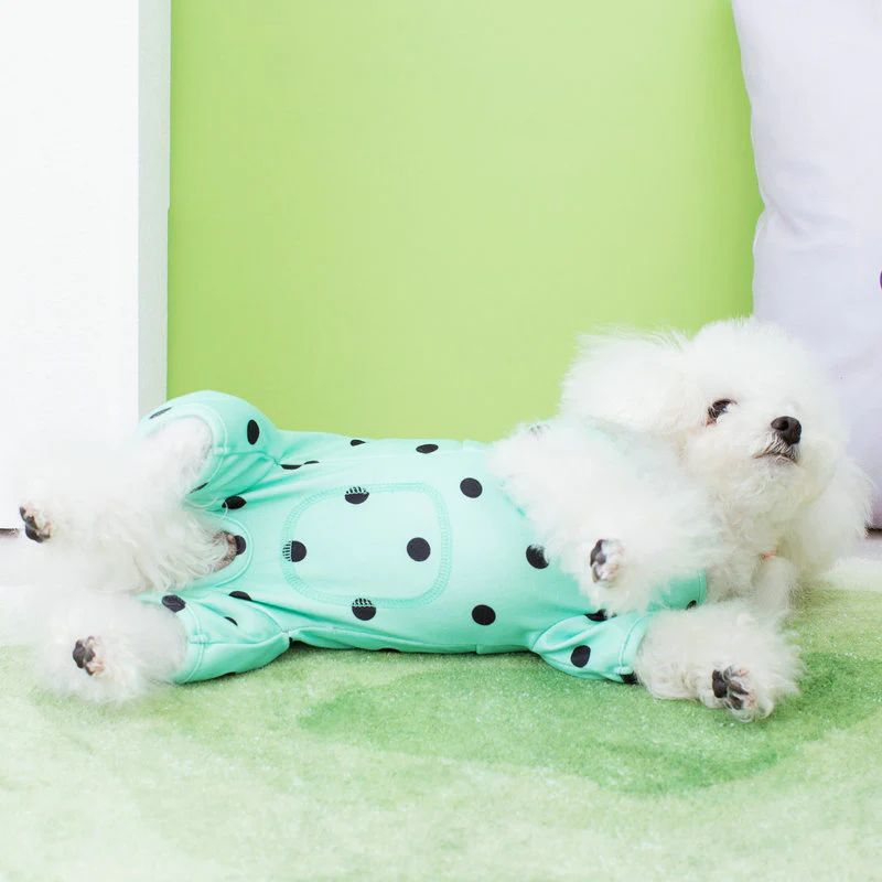 Belly Protecting Polka Dot Dog Jumpsuits - immagine 5