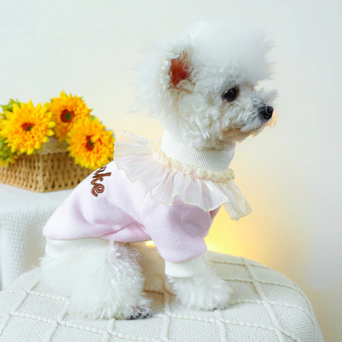 Cupcake Lace Collar Dog Cat Sweatshirt - immagine 4