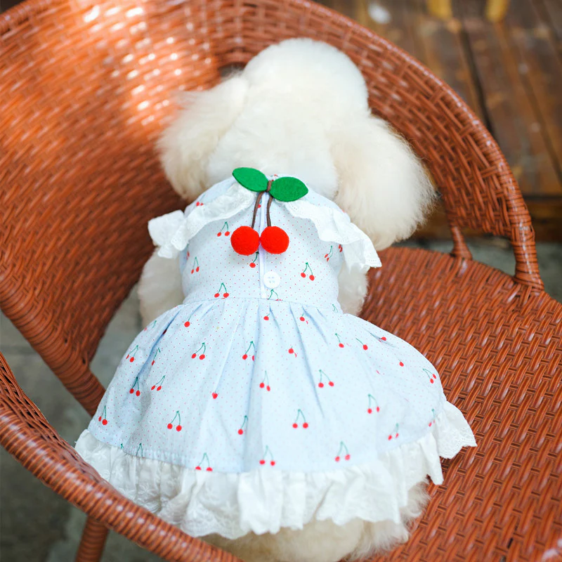 Cherry Lace Collar Dog Cat Dress - immagine 3