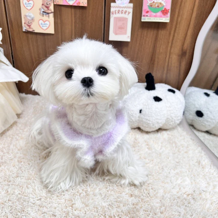 Furry Bowknot Dog Cat Sweater Layered Dress - immagine 5