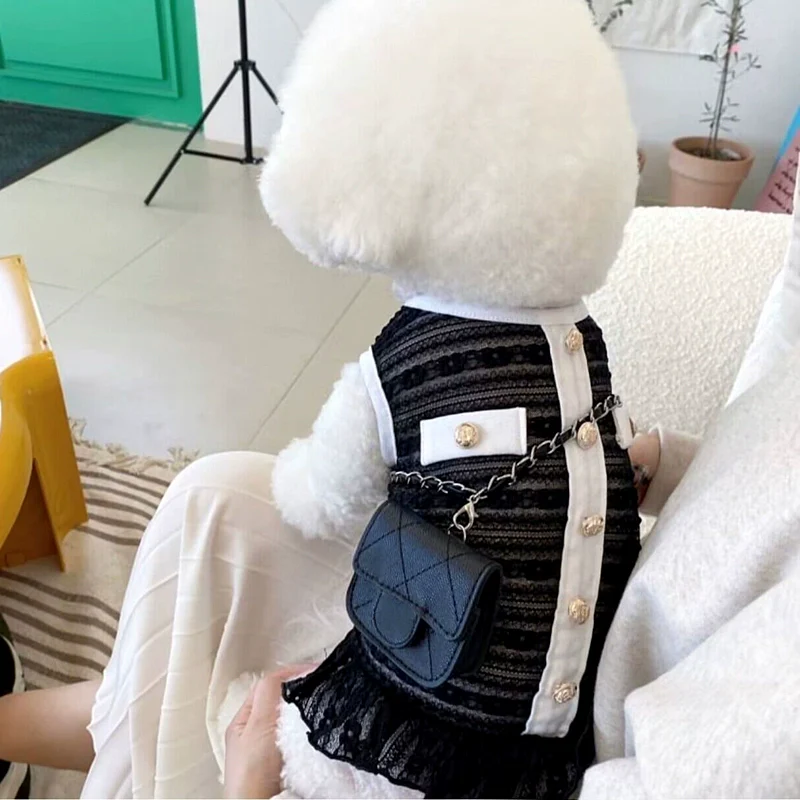 Elegant Lace Buttoned Dog Cat Dress - immagine 4