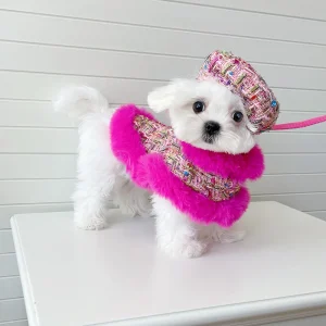 Plaid Dog Cape Harness with Leash&Hat