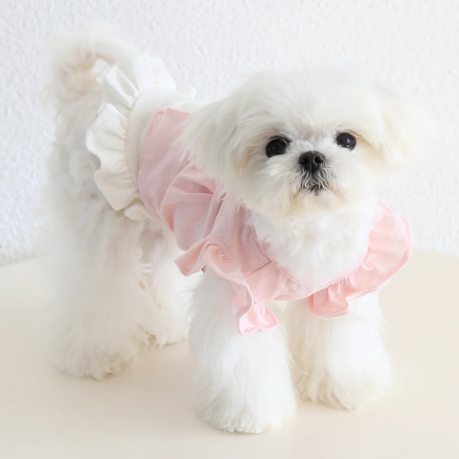 Two-in-one Ruffled Sleeves Dog Cat T-shirt - immagine 3