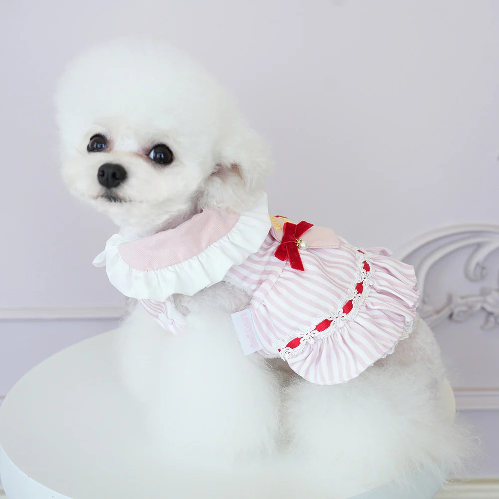 Sweet Striped Letter Bow Fleece Dog Cat Dress - immagine 5