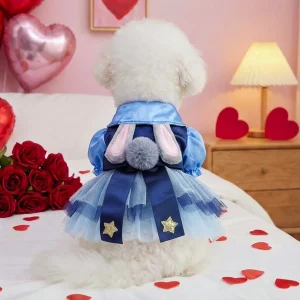 Cartoon Rabbit Dog Cat Princess Dress