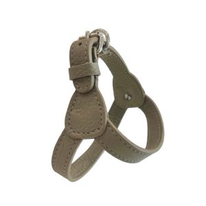 ADRIA HARNESS DOVE