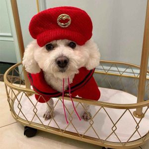 Vestito per Cani Stile Chanel Rosso con Cappellino Elegante