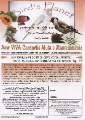 BIRD’S PLANET | Viva Carduelis ( Confezione da 1 kg )