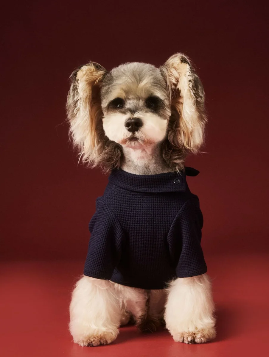 Tutina Cane 4 Zampe Tawney Bear - Pigiama Invernale - immagine 3