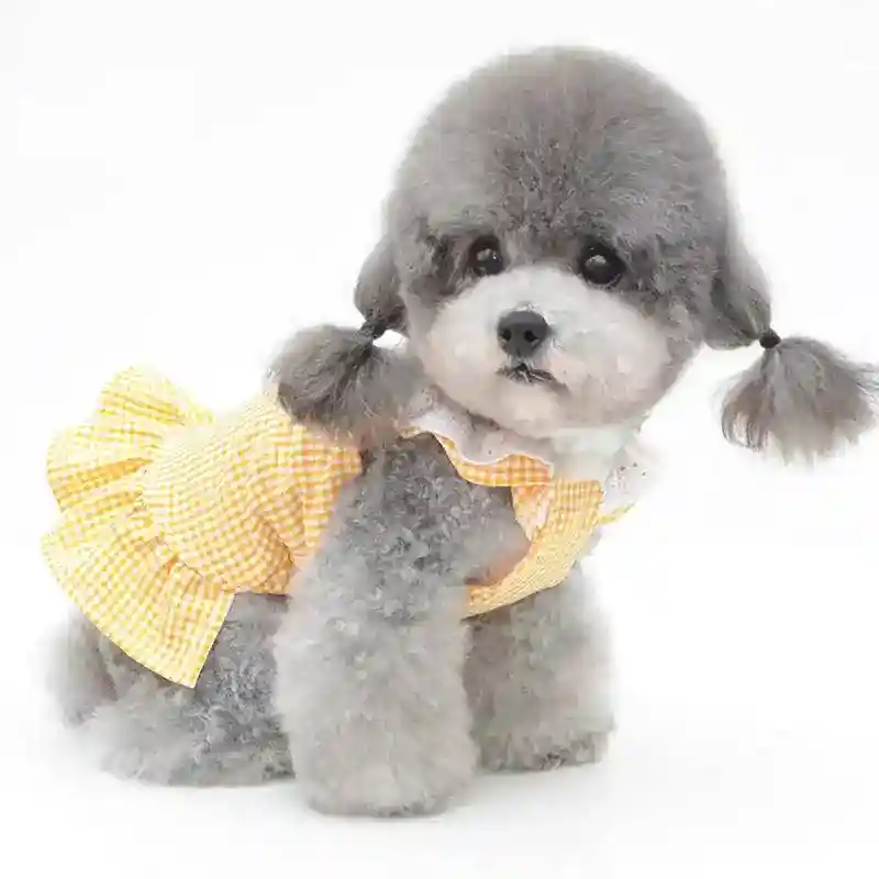 Vestito per Barboncino Toy con Fiocchetto - Modello Ribbon, Eleganza e Comfort - immagine 3