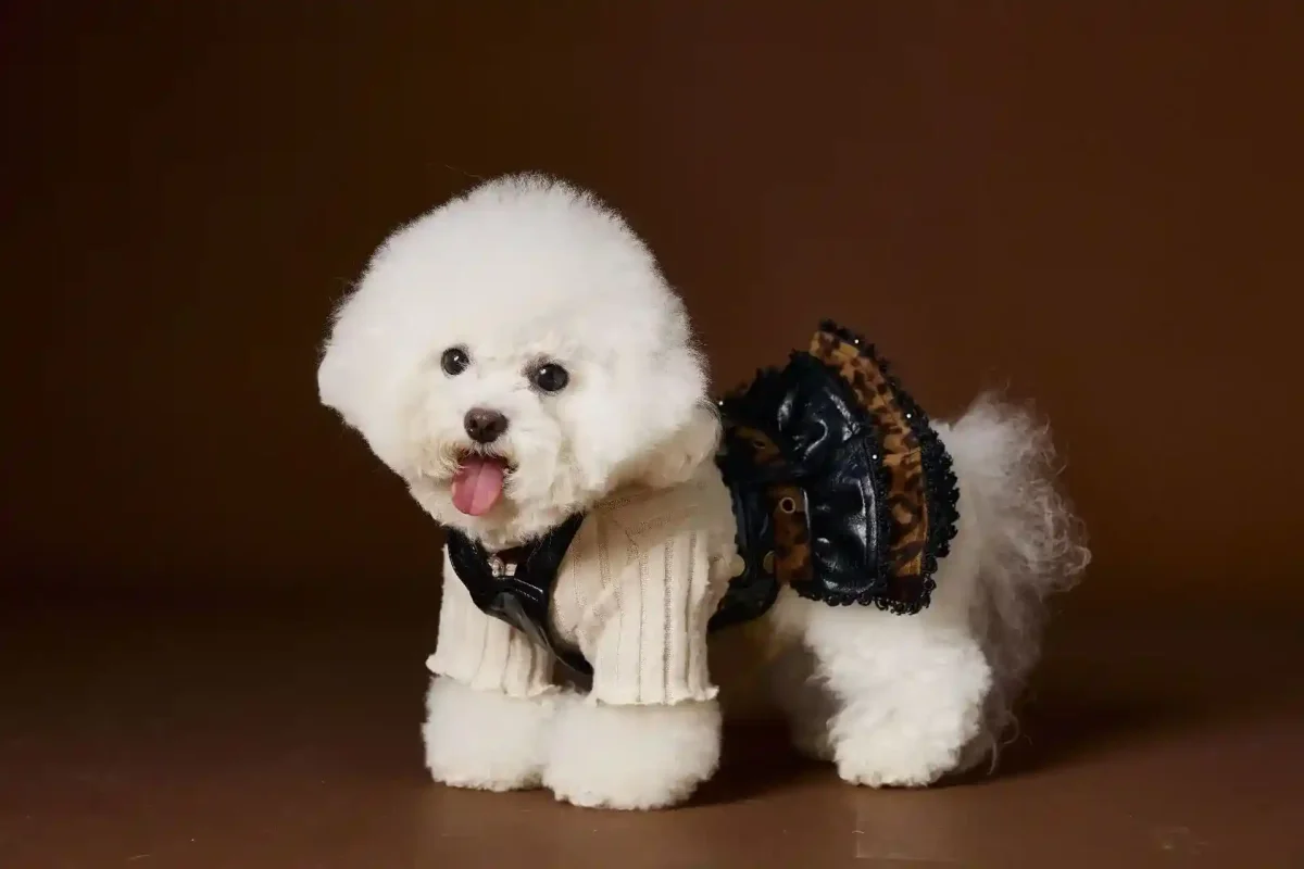 Vestito Elegante Buttons per Cani - Fiocco sul Colletto - immagine 6