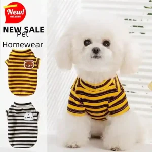 T-Shirt Cani Gatti Righe Homewear Patch Orso Gatto