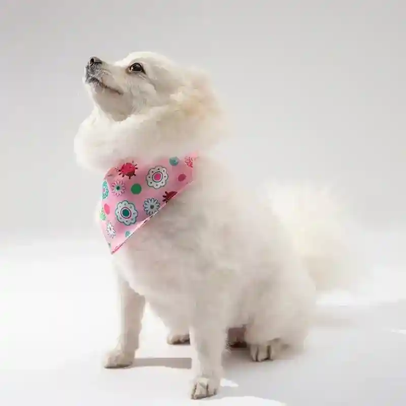 Bandana per Cani con Stampa | Collare Decorativo Fashion - immagine 6