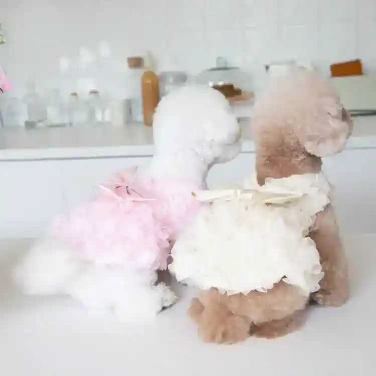 Vestitino elegante da cerimonia per cani con roselline in tulle e fiocco - immagine 8