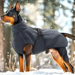 Cappotto Impermeabile per Cani Invernale Imbottito - Astra