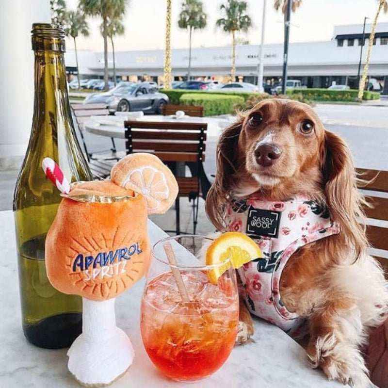 Apawrol Spritz: Il Peluche Festoso per Cani - immagine 3