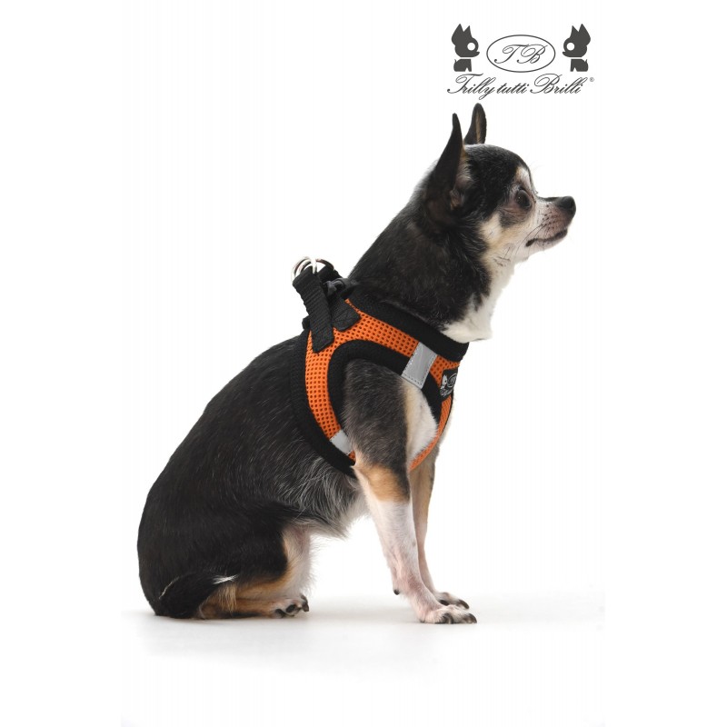 Orange Air Mesh Harness - immagine 4
