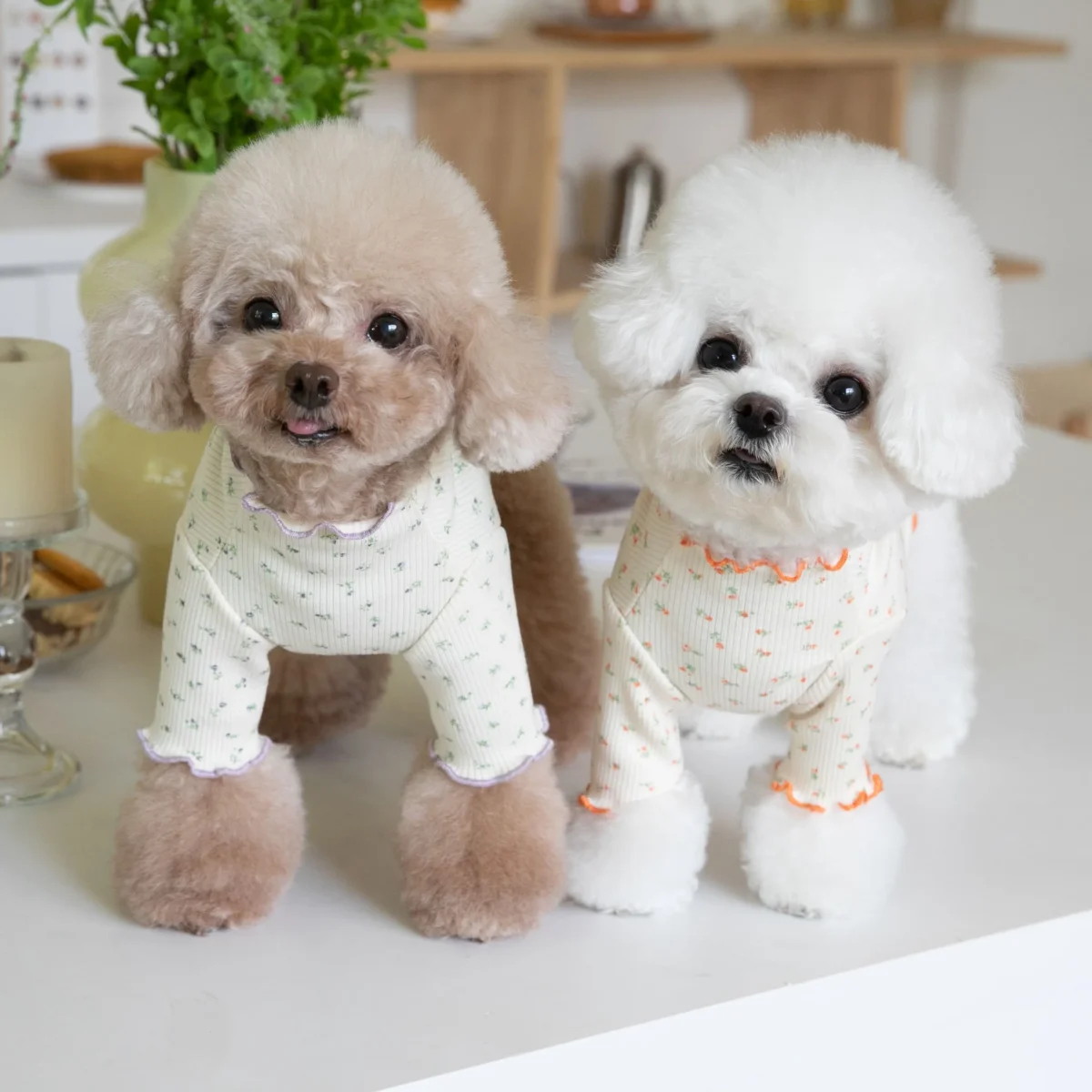 Floral Cotton Ruffled Dog Cat Sweatshirt - immagine 3