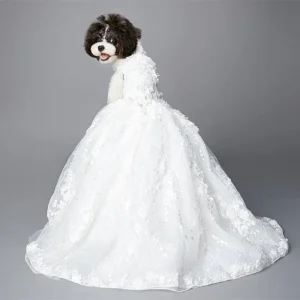Vestito Principessa Matrimonio Cani - Strascico Ricamato