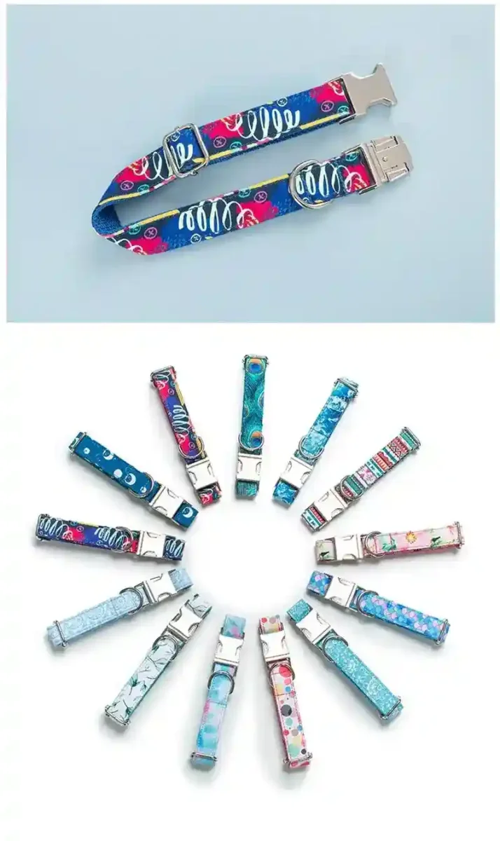 BlueVibe - Collare per Cani in Nylon Resistente con Fantasia Vivace - immagine 5