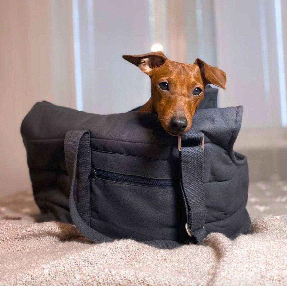 Borsa Trasportino "Soft Comfort" per Cani - Praticità e Stile in Movimento - immagine 3