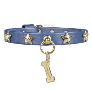 Chic and Stars Délavé